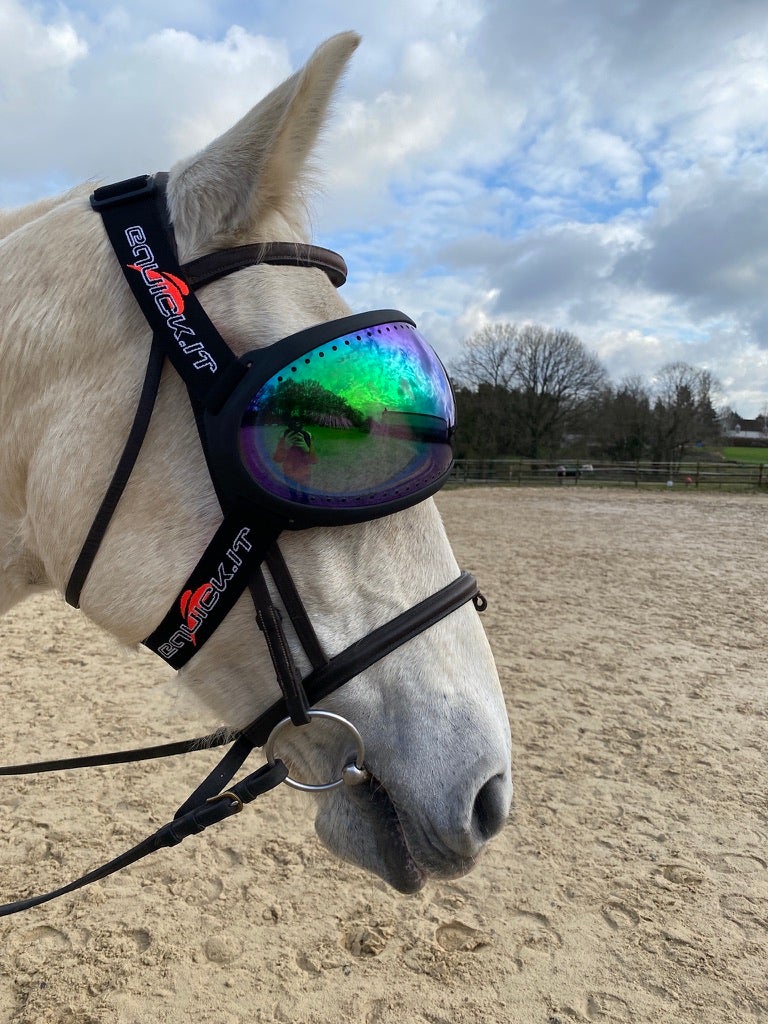 eVysor eQuick paardrijbril 100% UV-bescherming - groene spiegelglazen -