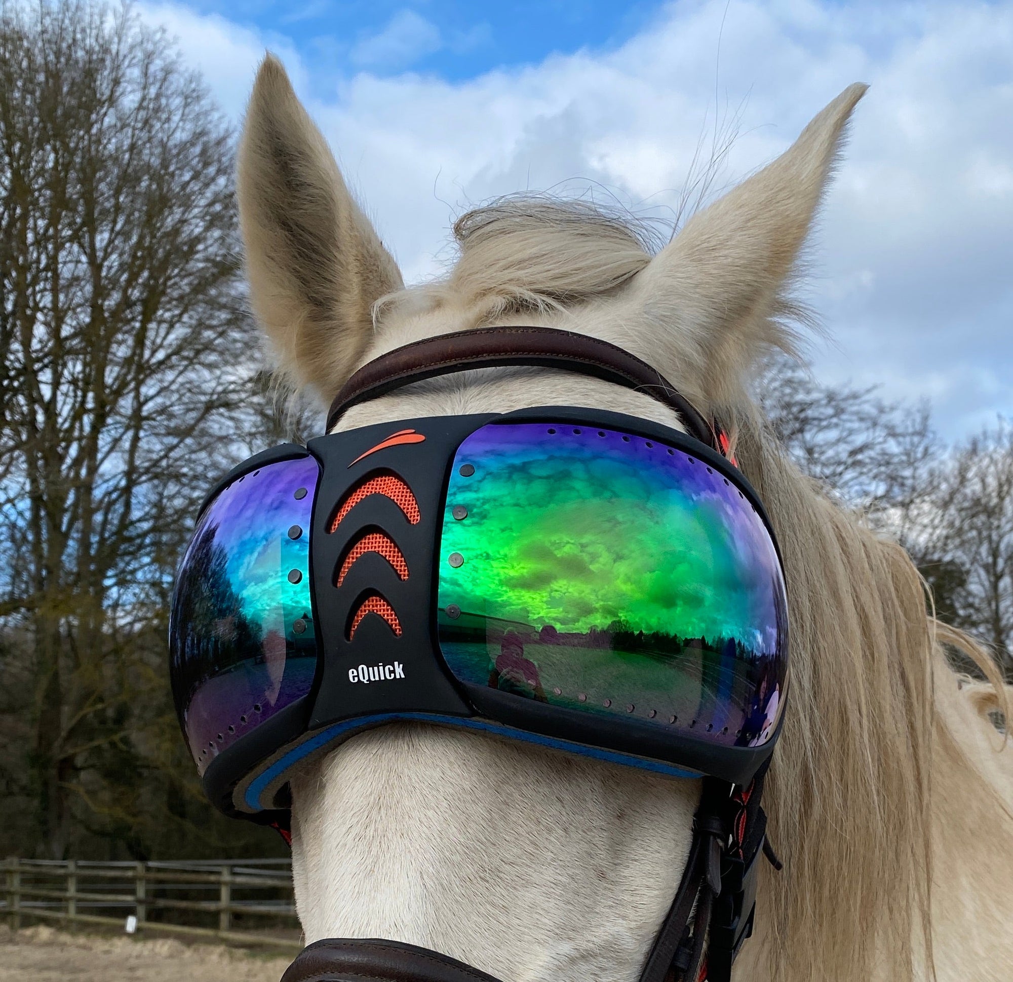 eVysor eQuick paardrijbril 100% UV-bescherming - groene spiegelglazen -