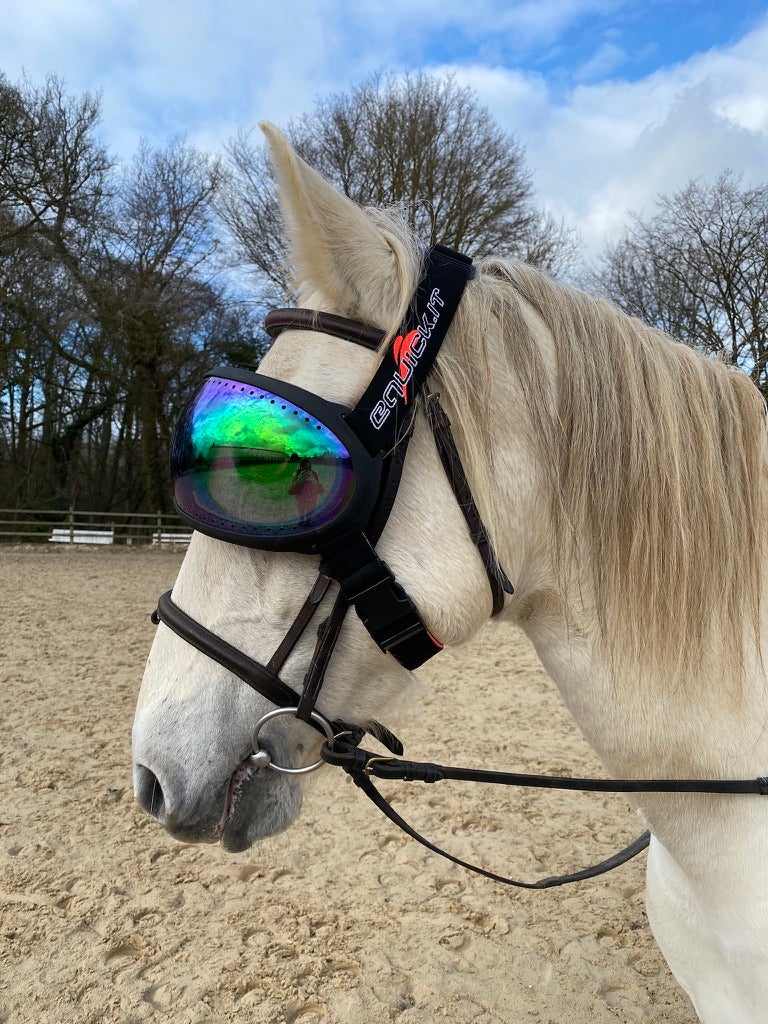 eVysor eQuick paardrijbril 100% UV-bescherming - groene spiegelglazen -