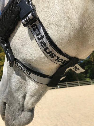 Equivizor oogheelkundige herstelbril voor paarden - Transparant anti-UV PVC - Equidiva