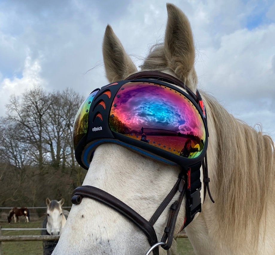 eVysor eQuick paardenmasker 100% UV-bescherming - rainbow mirror -