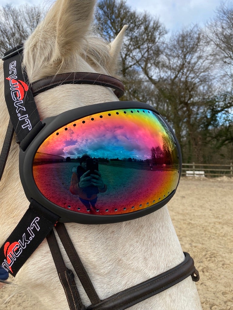 eVysor eQuick paardenmasker 100% UV-bescherming - rainbow mirror -