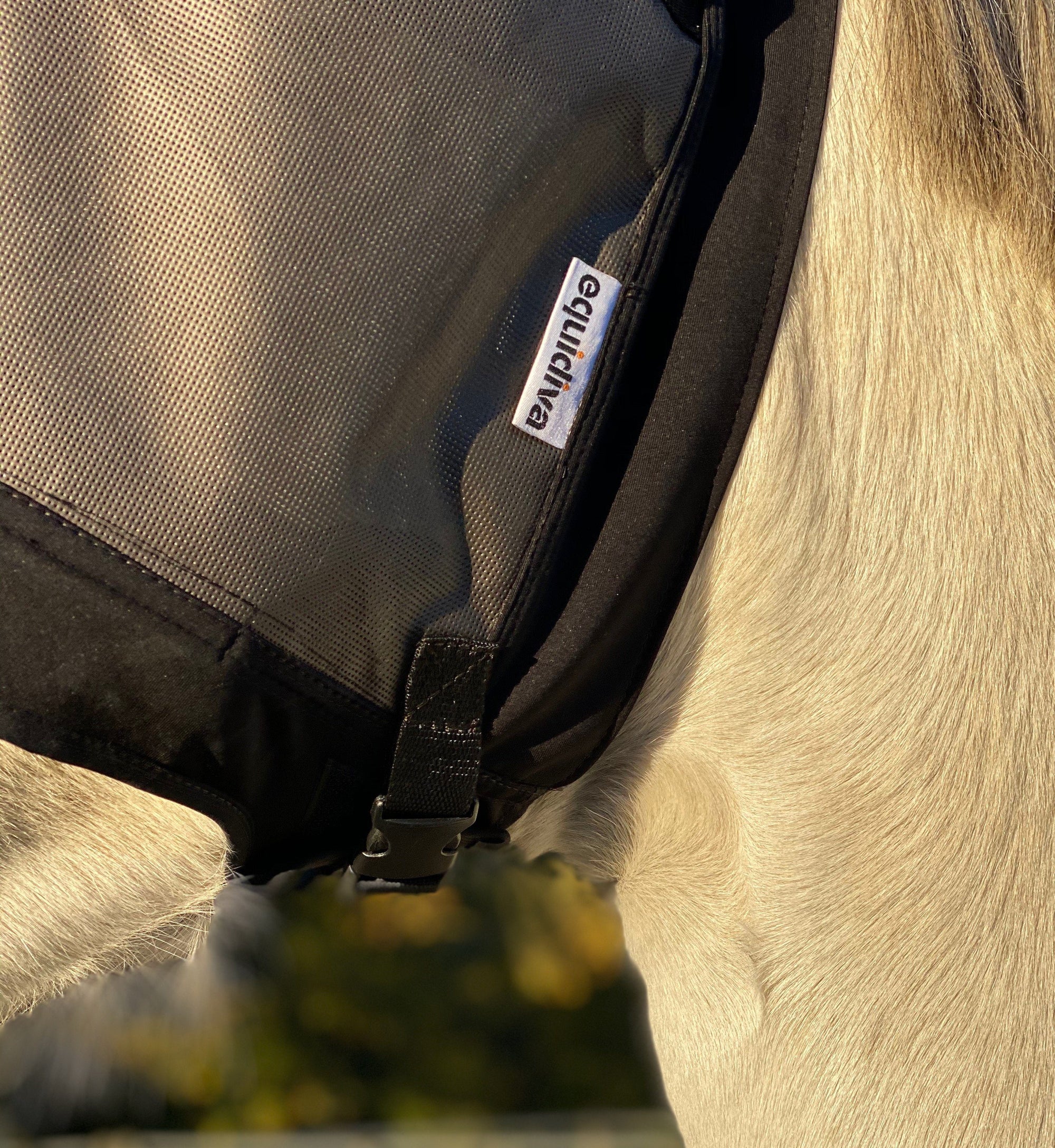 Premium equidiva paardenmasker 90% UV-bescherming zonder oorkappen