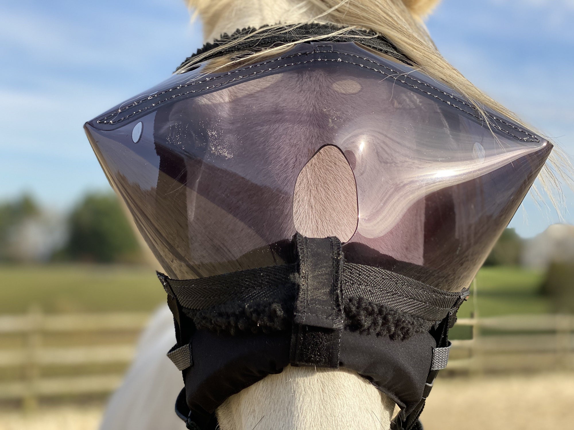 Equivizor oogmasker voor paarden tijdens herstel -  donker PVC met UV-bescherming - Equidiva