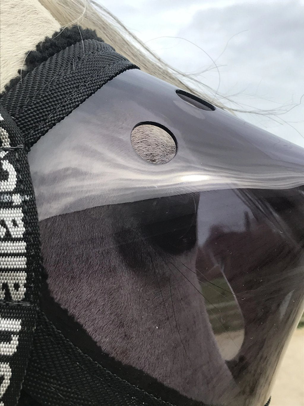Equivizor oogmasker voor paarden tijdens herstel -  donker PVC met UV-bescherming - Equidiva