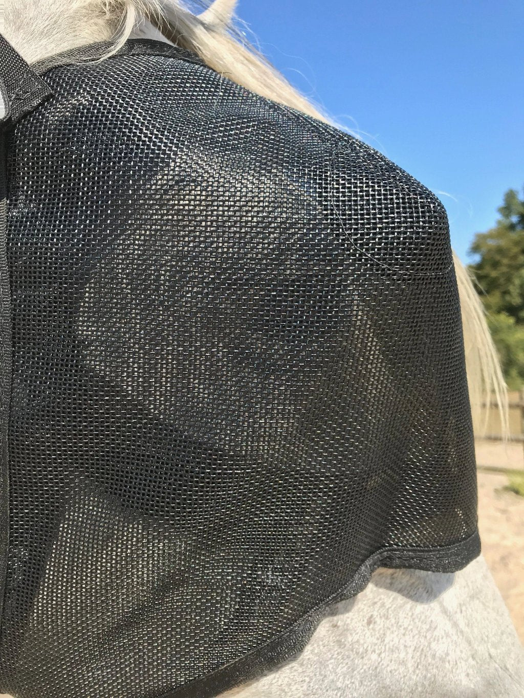 Equivizor oogmasker voor paarden tijdens herstel -  Transparant PVC met UV-bescherming - Equidiva