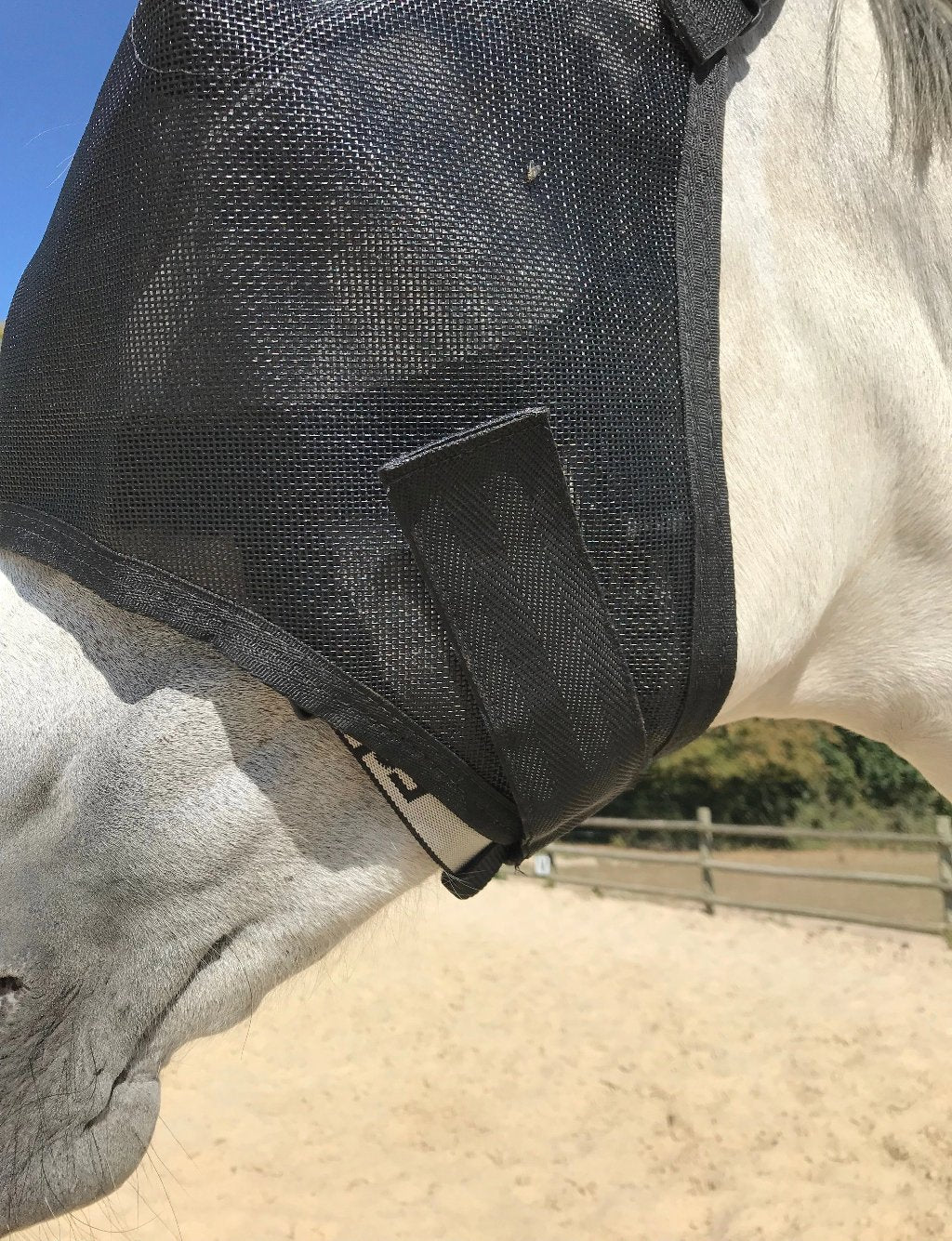 Equivizor oogmasker voor paarden tijdens herstel -  Transparant PVC met UV-bescherming - Equidiva