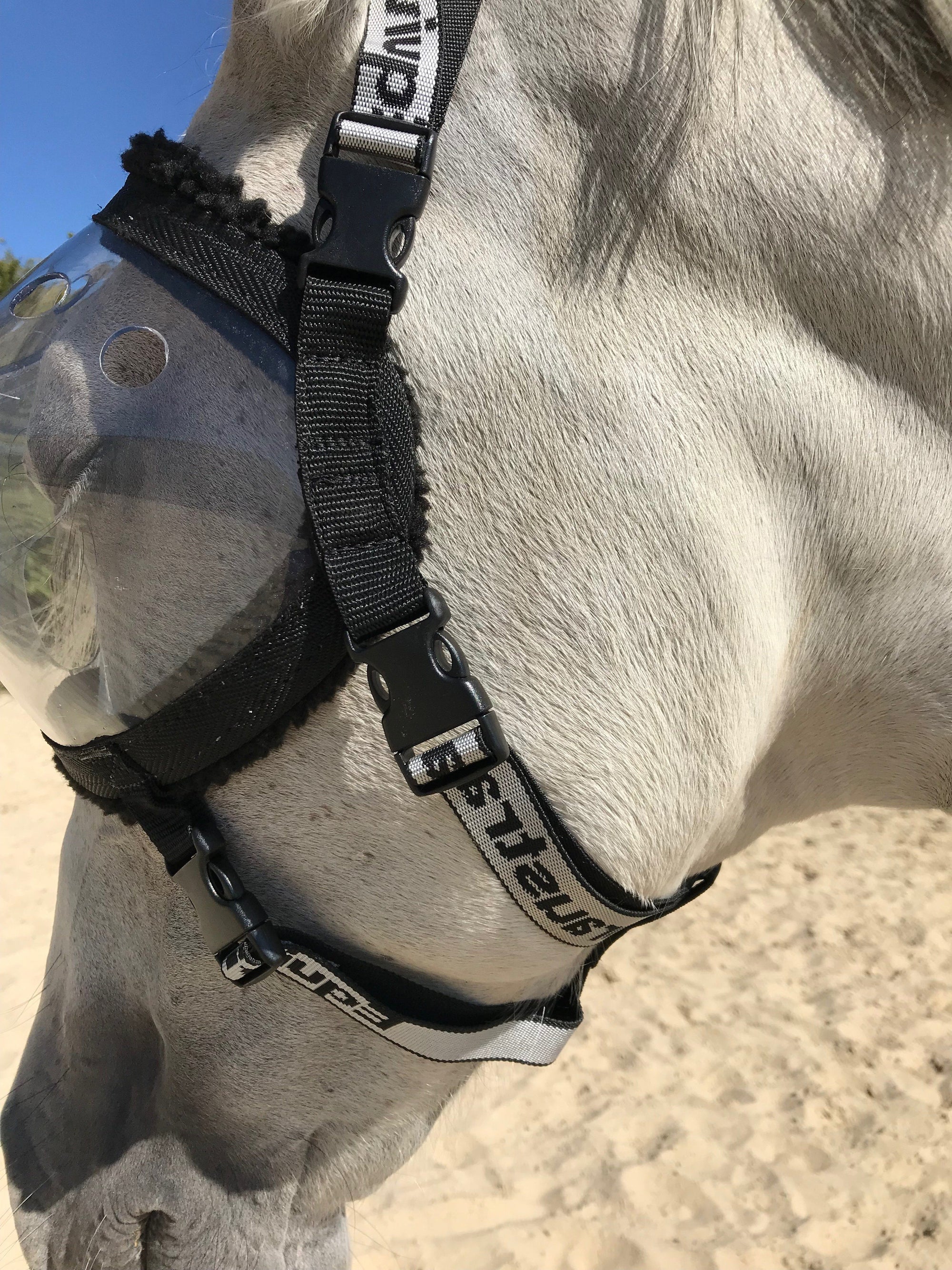 Equivizor oogmasker voor paarden tijdens herstel -  Transparant PVC met UV-bescherming - Equidiva