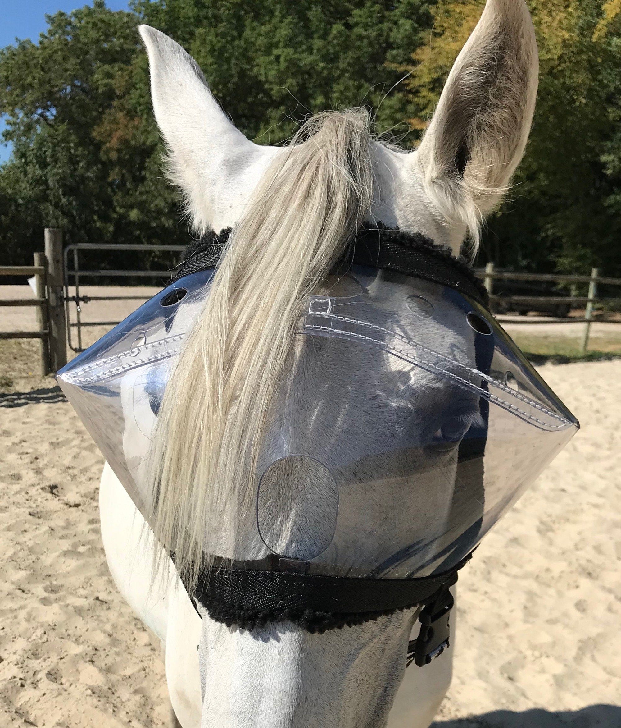 Equivizor oogmasker voor paarden tijdens herstel -  Transparant PVC met UV-bescherming - Equidiva