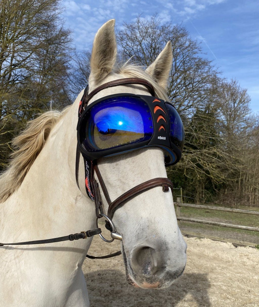 eVysor eQuick anti-UV-masker voor paarden, 100% bescherming tegen uveïtis bij paarden - blauwe spiegel - Equidiva