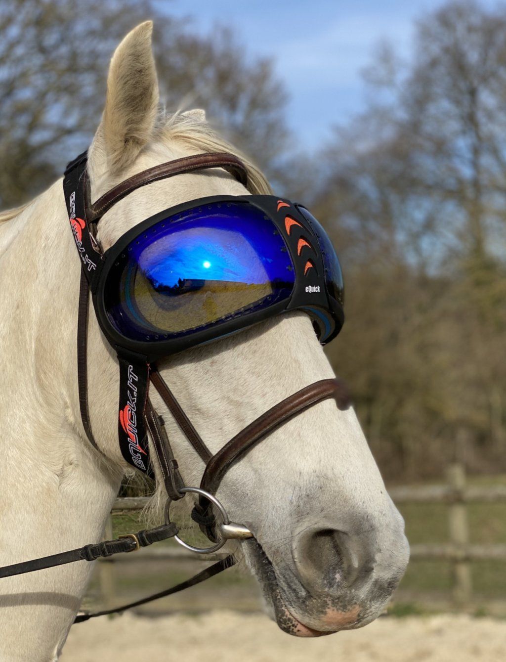 eVysor eQuick anti-UV-masker voor paarden, 100% bescherming tegen uveïtis bij paarden - blauwe spiegel - Equidiva