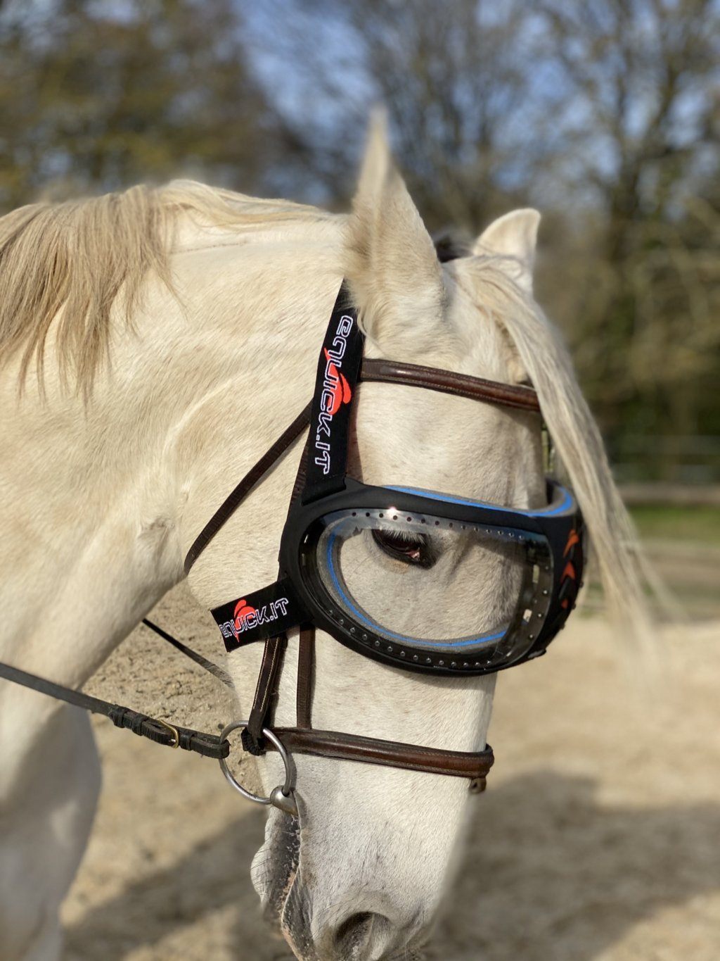 eVysor eQuick anti-UV-masker voor paarden, 100% bescherming tegen uveïtis - transparant - Equidiva