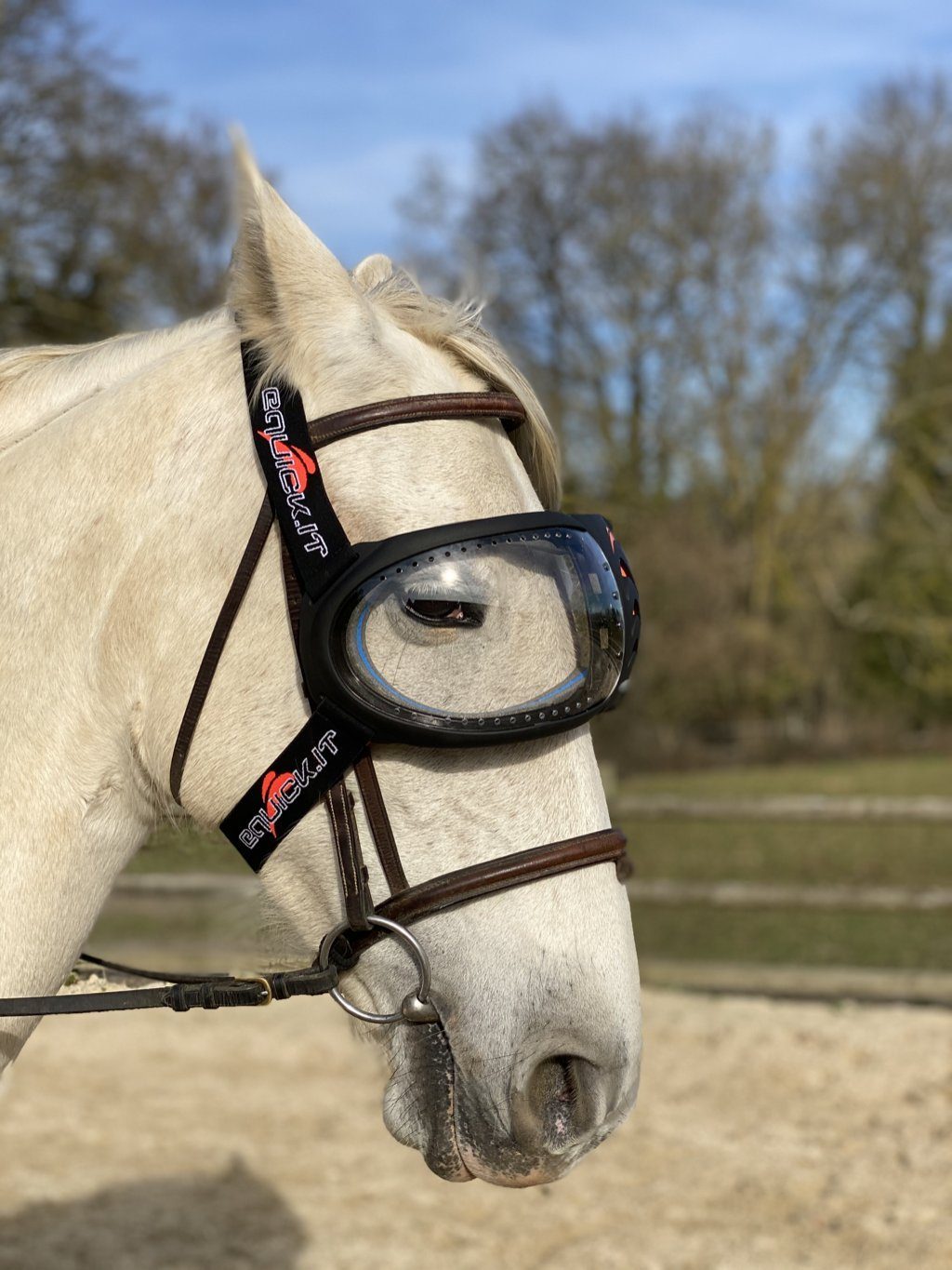 eVysor eQuick anti-UV-masker voor paarden, 100% bescherming tegen uveïtis - transparant - Equidiva