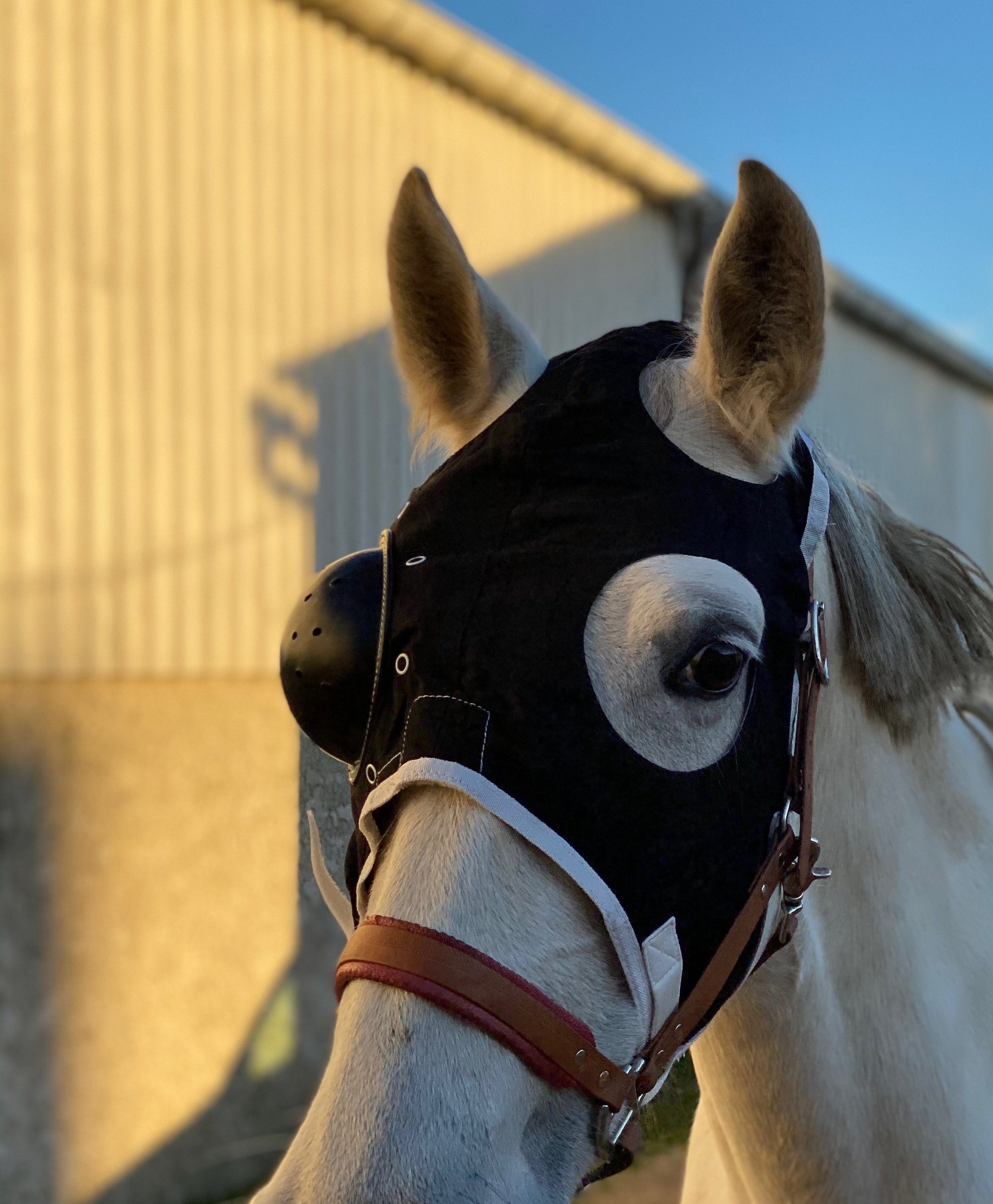 Equivet harde oogbescherming voor één oog