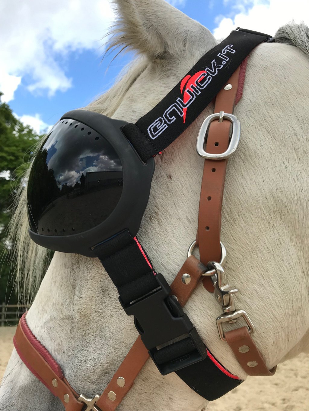eVysor eQuick paardenmasker met 100% UV-bescherming tegen uveïtis - donker - Equidiva