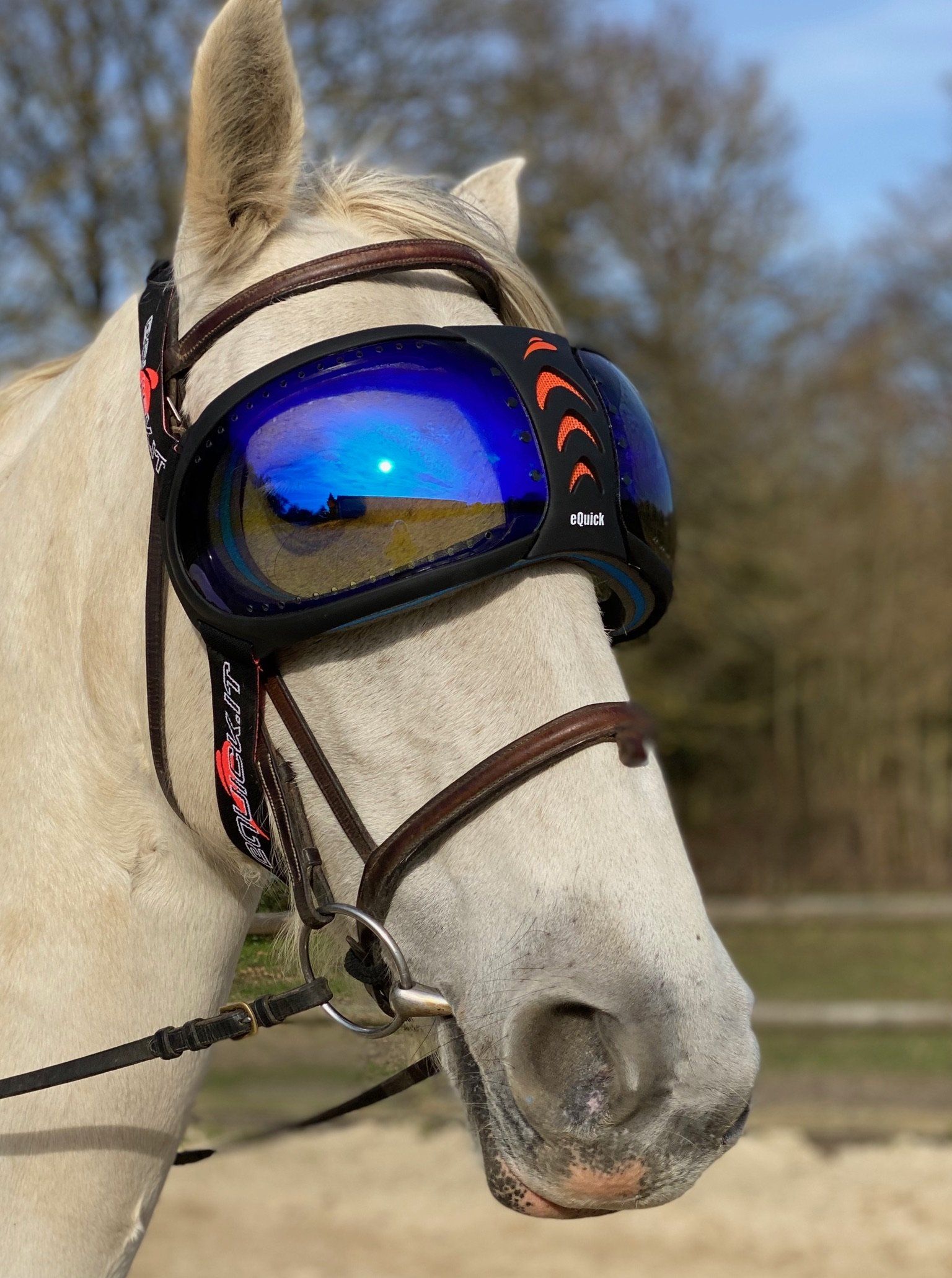 Pakket met 2 eVysor eQuick - vizierkleur naar keuze
