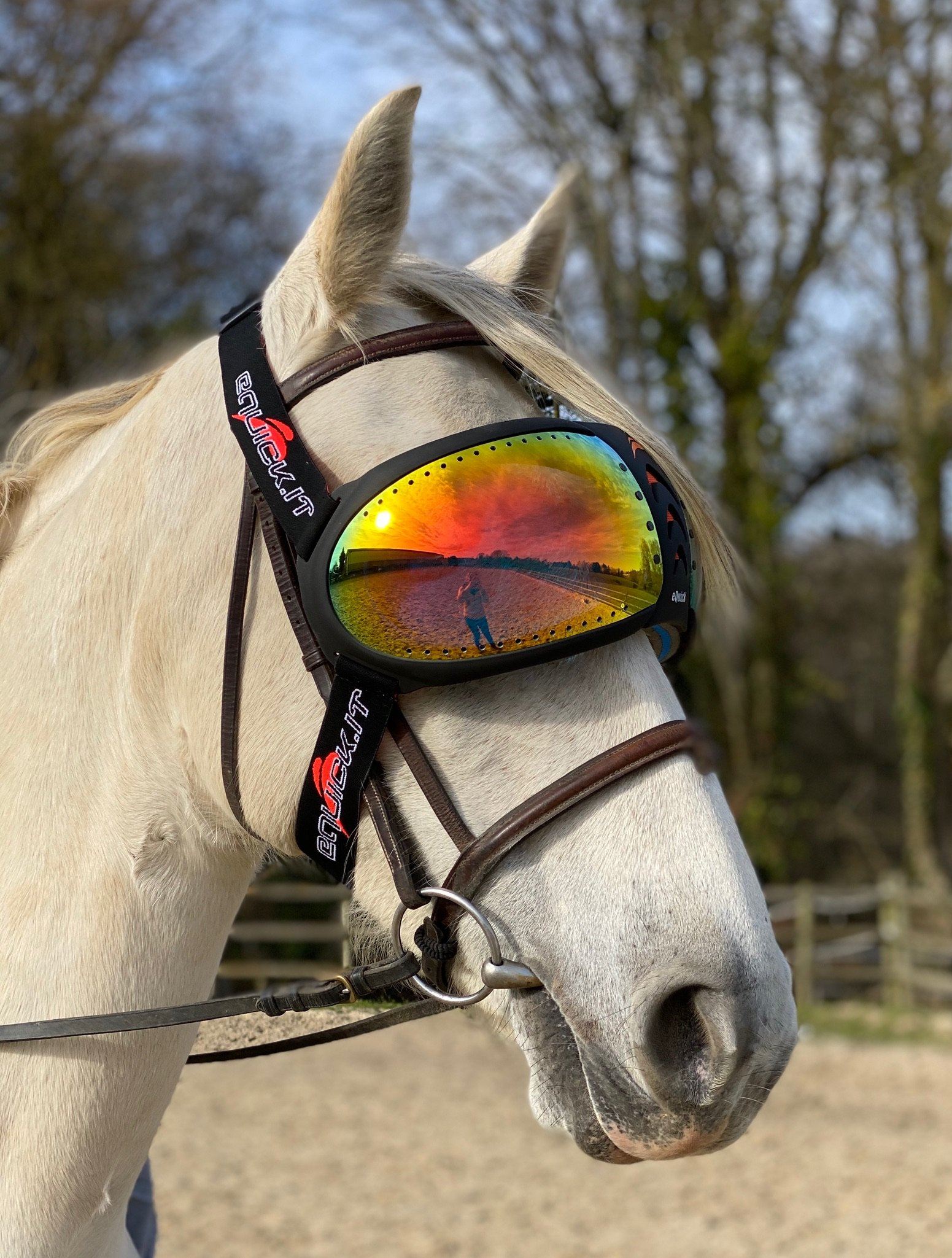 Pakket met 2 eVysor eQuick - vizierkleur naar keuze