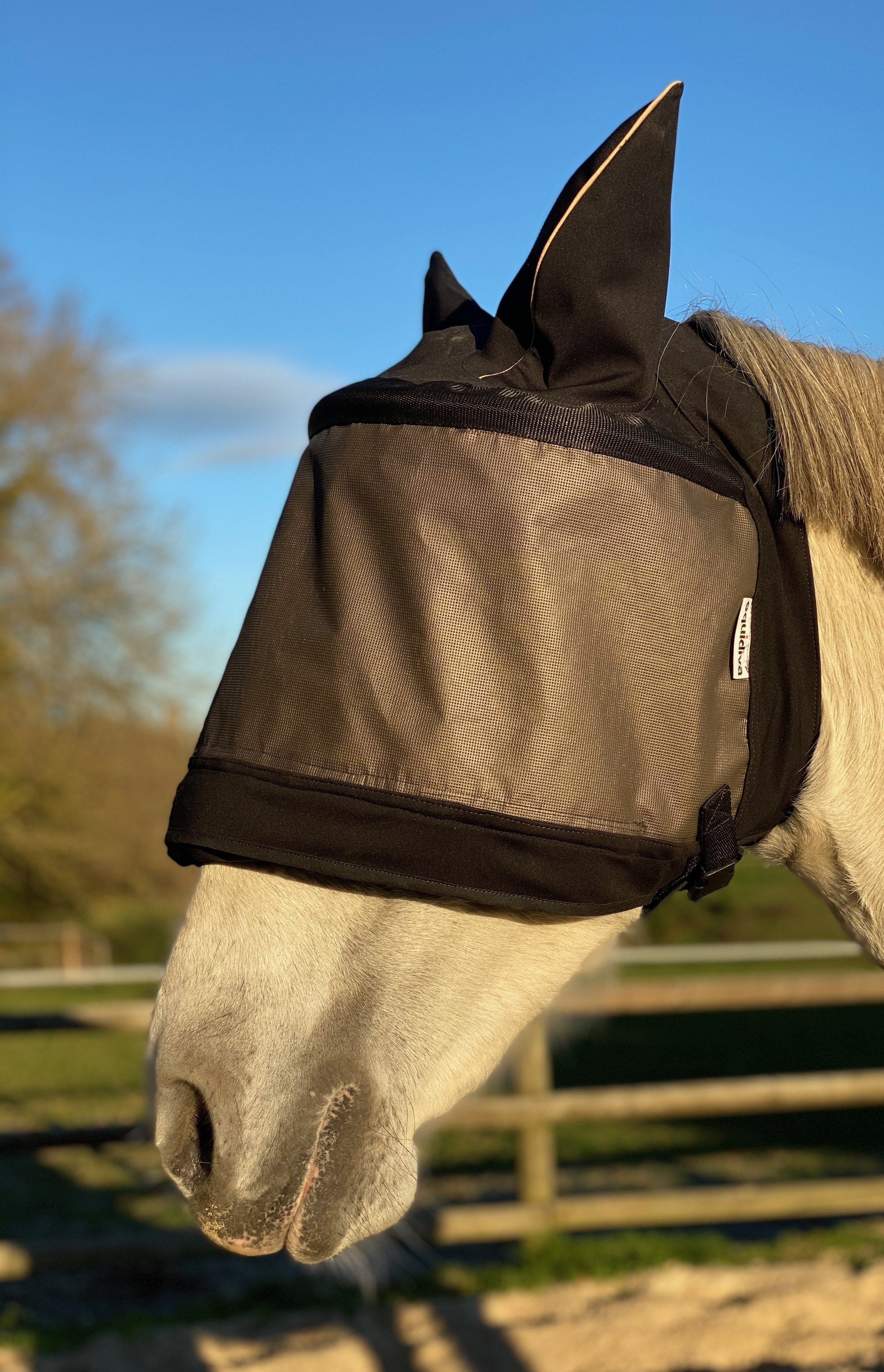 Pakket met 2 Premium equidiva-maskers met oorkleppen