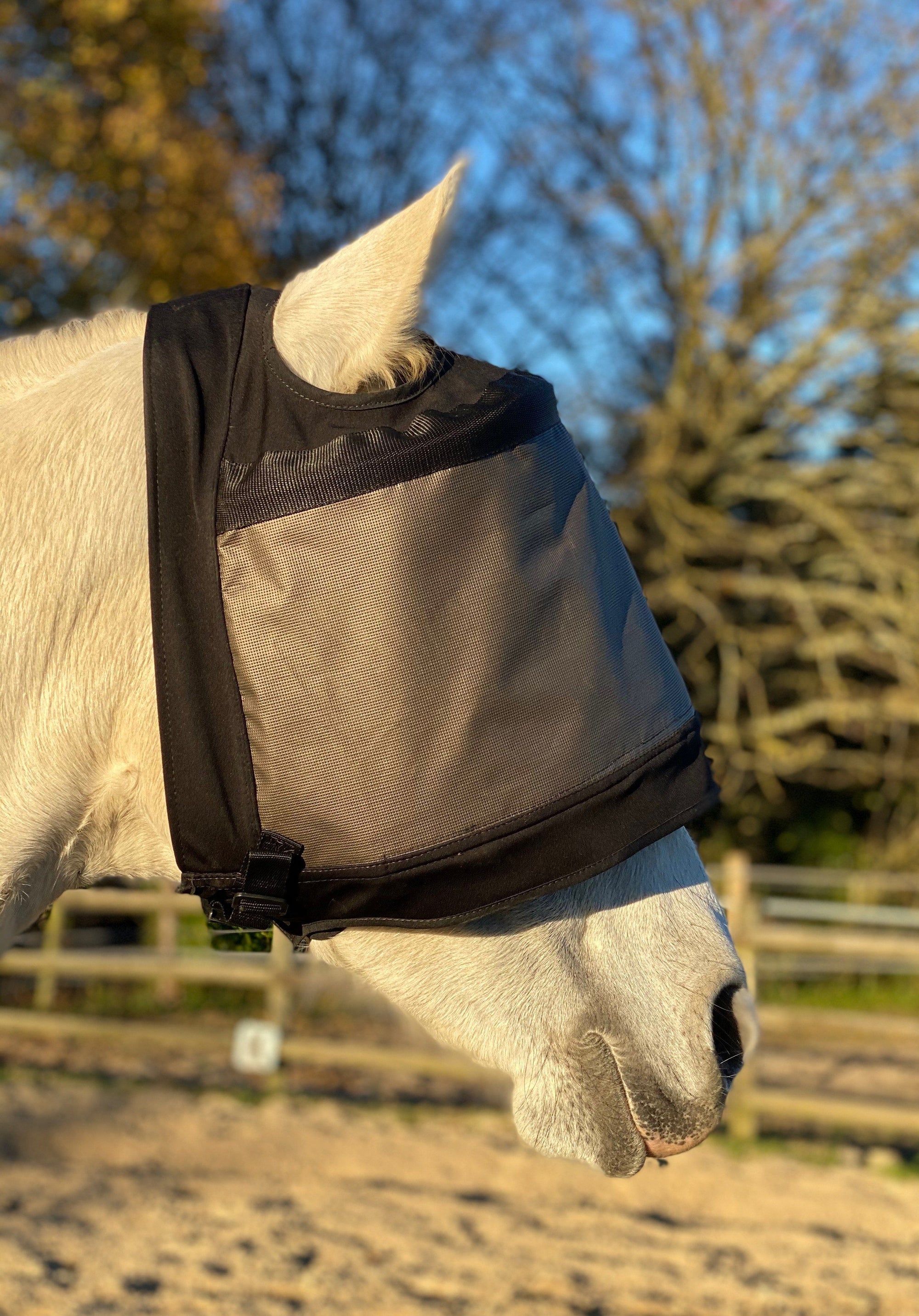 Pakket met 2 Premium-maskers van Equidiva: met en zonder oorkleppen