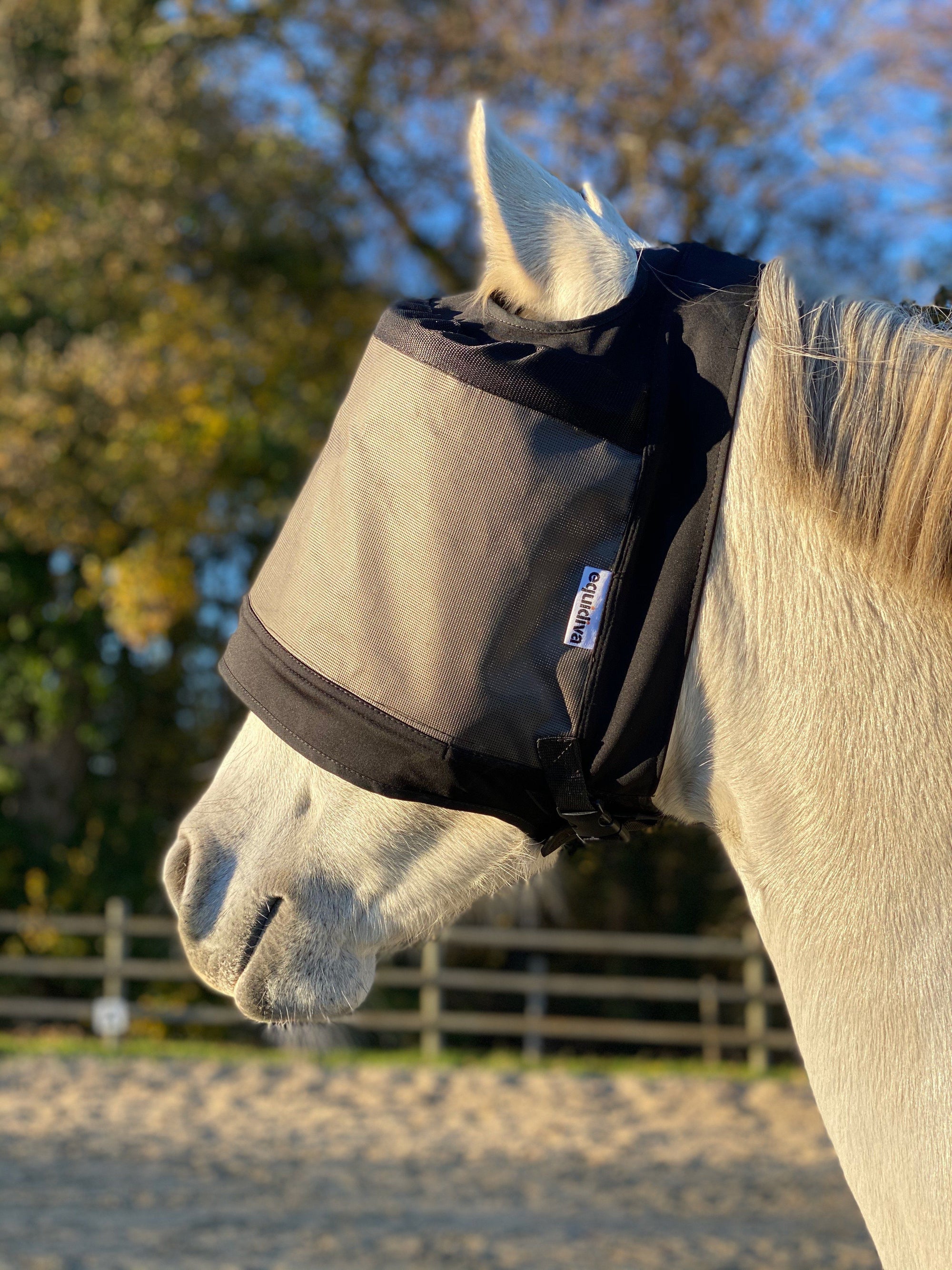 Pakket met 2 Premium-maskers van Equidiva zonder oorkleppen