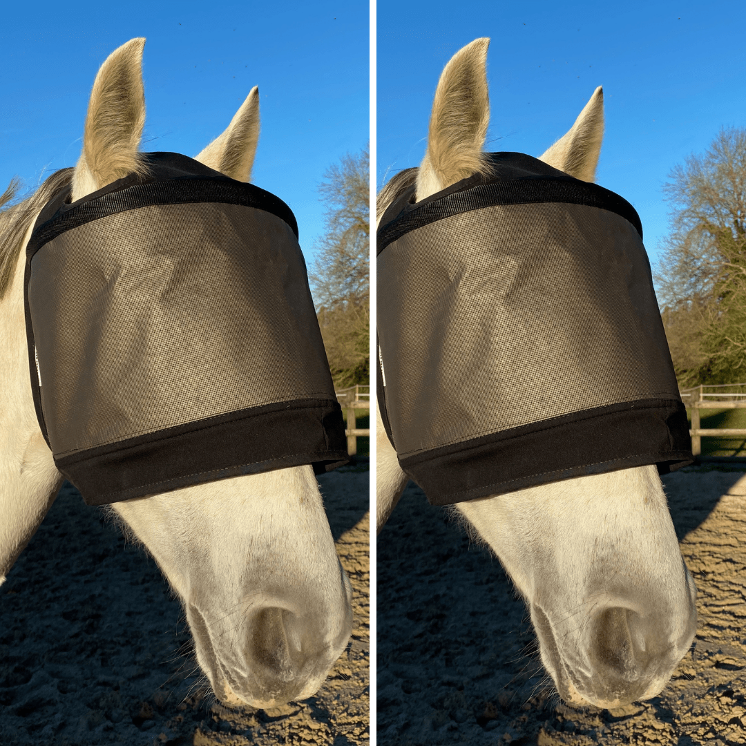 Pakket met 2 Premium-maskers van Equidiva zonder oorkleppen