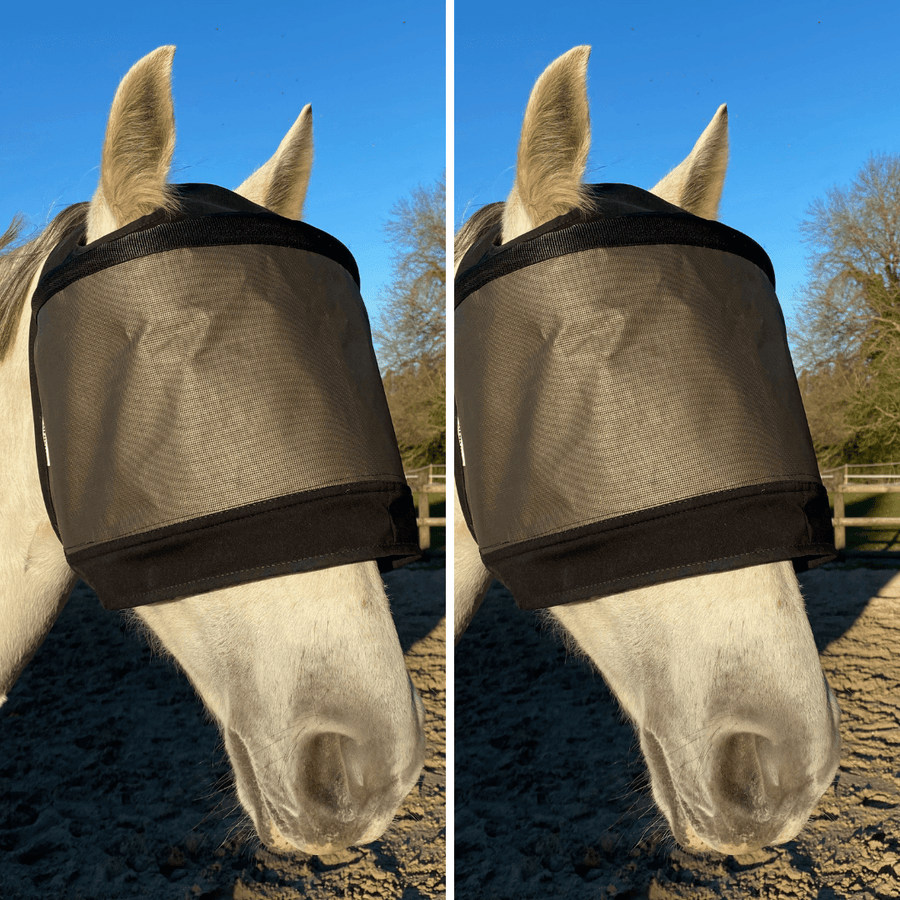Pakket met 2 Premium-maskers van Equidiva zonder oorkleppen
