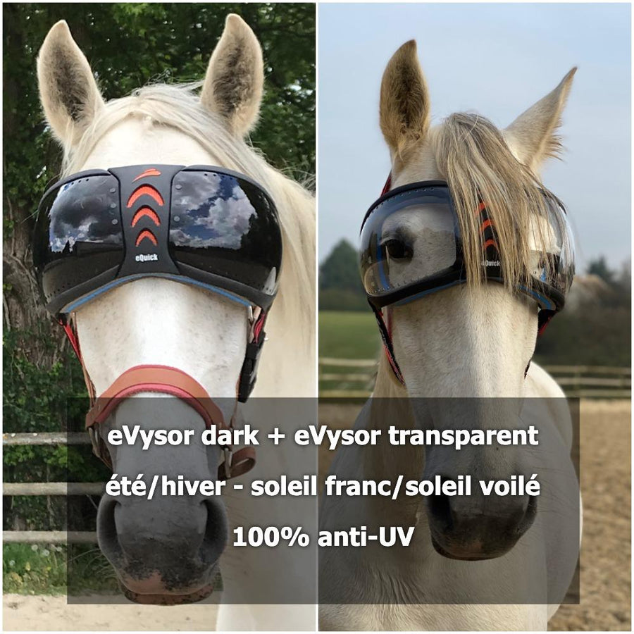 eVysor 365-pakket - 1 donkere masker + 1 transparante masker