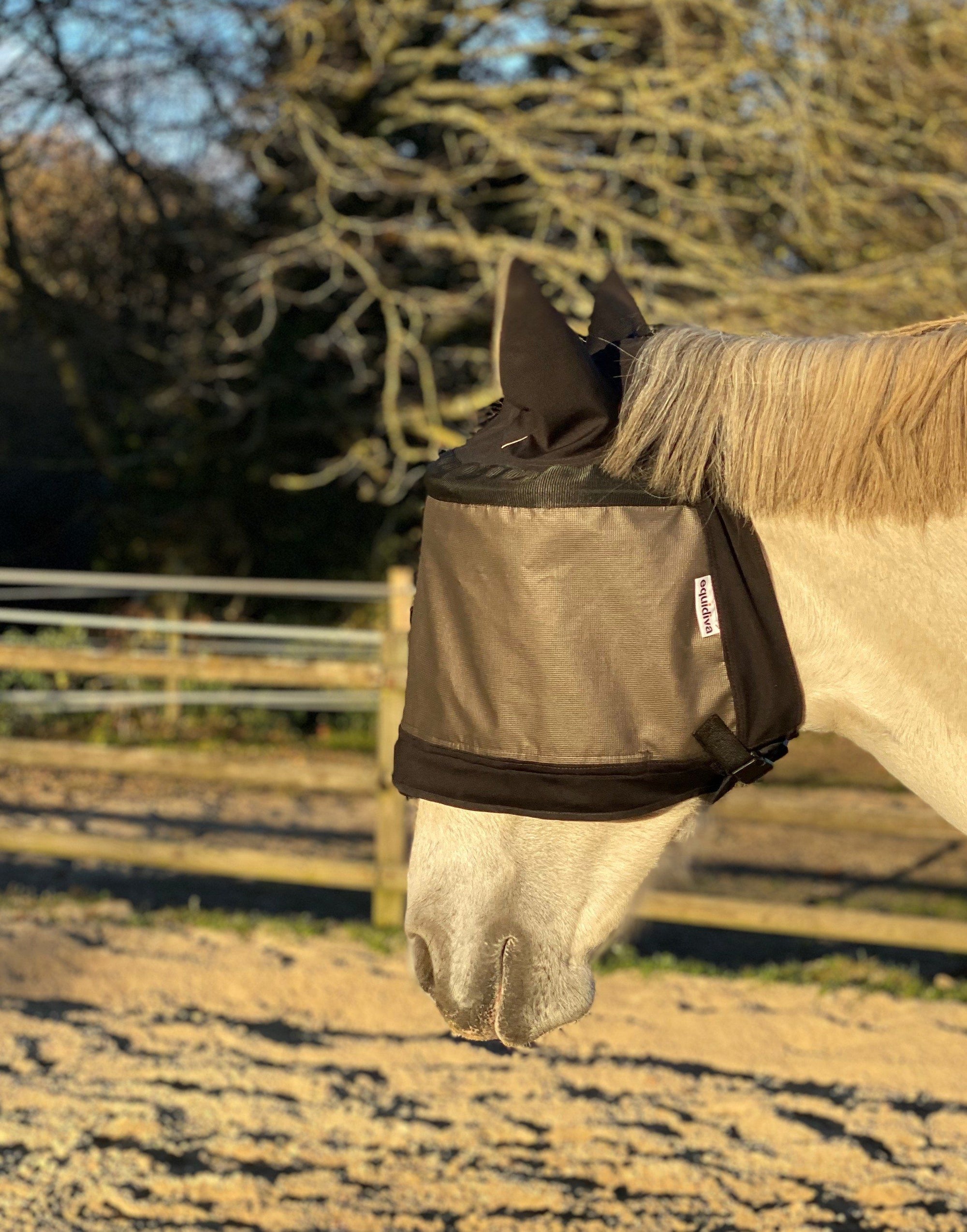 Pakket eVysor + Premium equidiva-masker met oorkappen