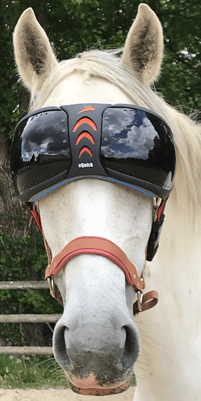 Pakket eVysor + Premium equidiva-masker met oorkappen