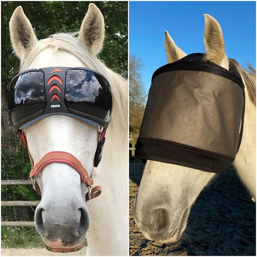 Pakket eVysor + Premium-masker van Equidiva zonder oorkappen