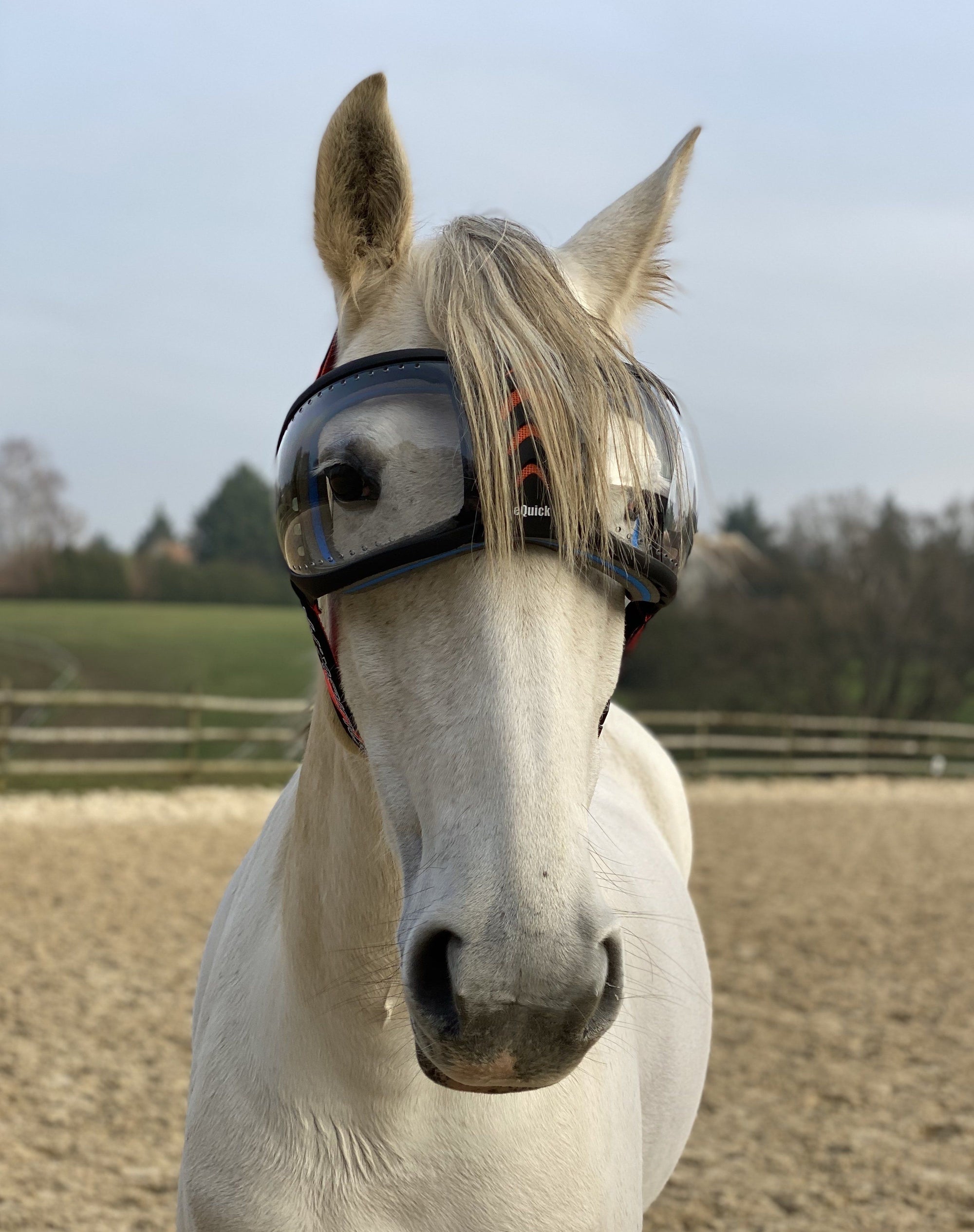 Equivizor Light Pack met oorkappen + eVysor-masker naar keuze