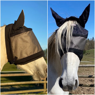 Equidiva Premium Pack + Lichtgewicht Equivizor met oorbeschermers