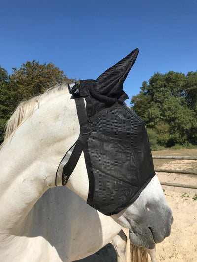 Equidiva Premium Pack + Lichtgewicht Equivizor met oorbeschermers