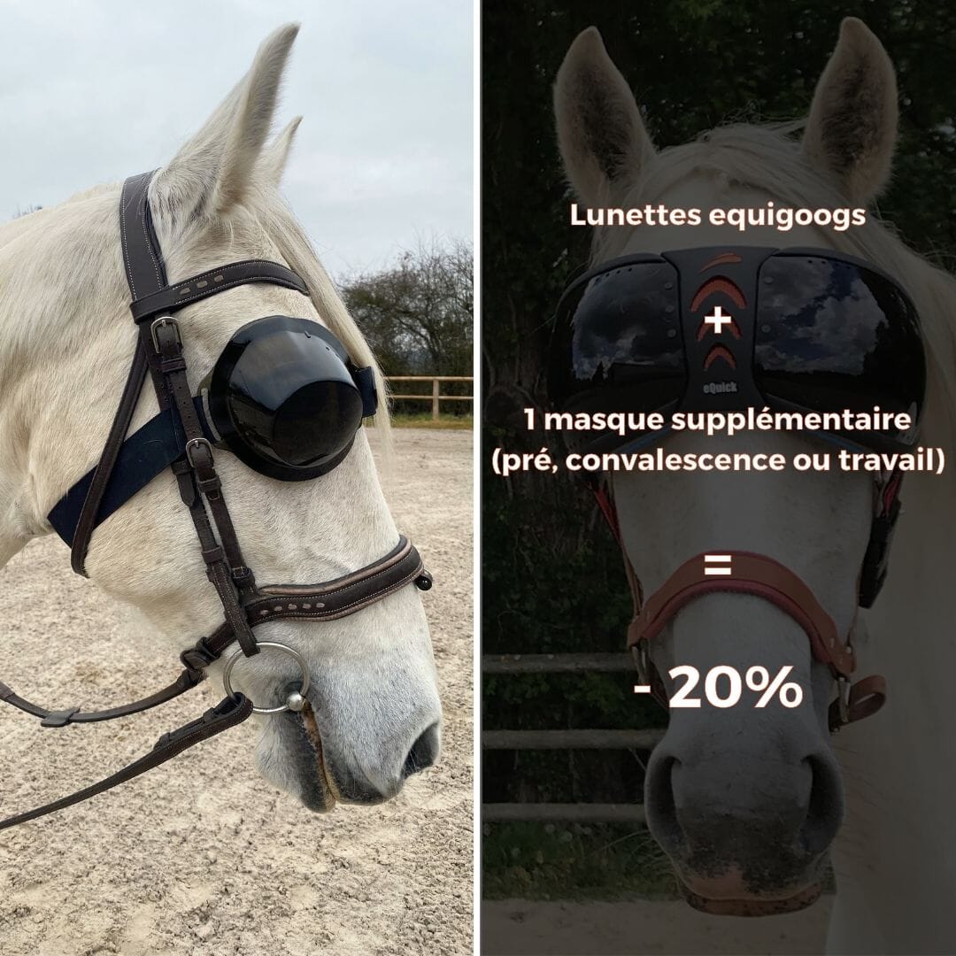 Packs avec lunettes de travail equigoogs