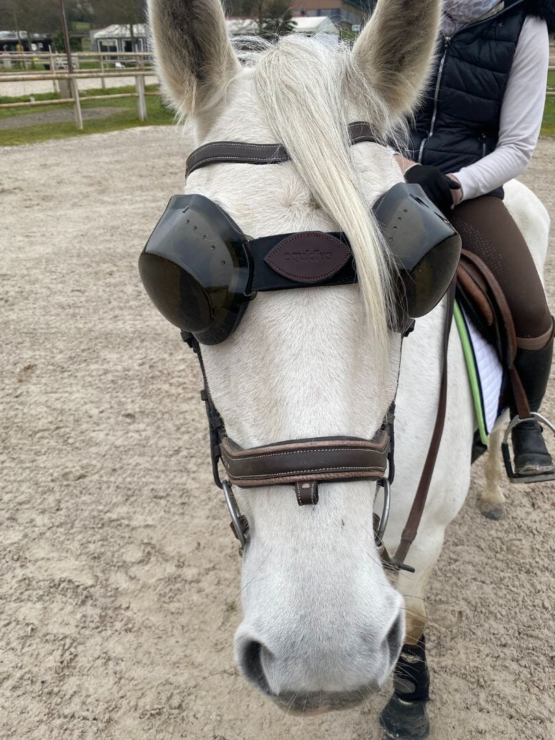 Voile Clignotant Pour Cheval (œillère) - Coupe Noire, Empêche Voile Clignotant Pour Cheval (œillère) - Coupe Noire, Empêche
