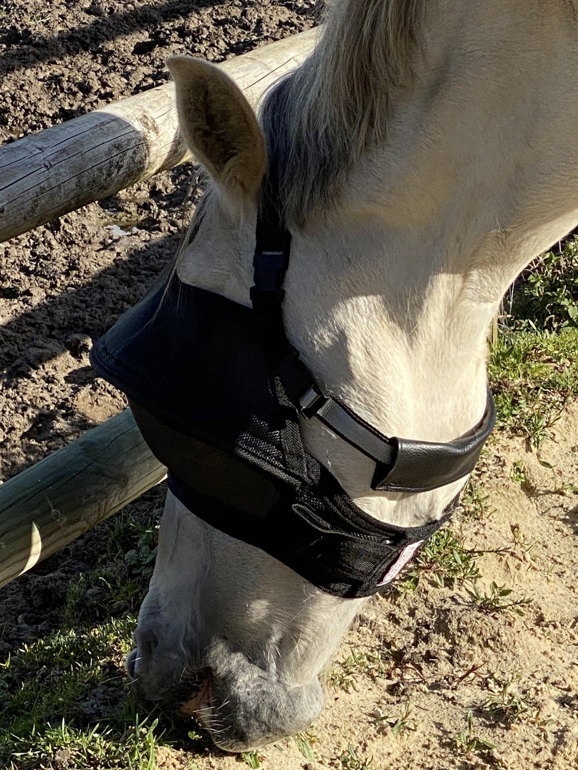 Masque Arso Equivizor 90% anti-UV avec arceau