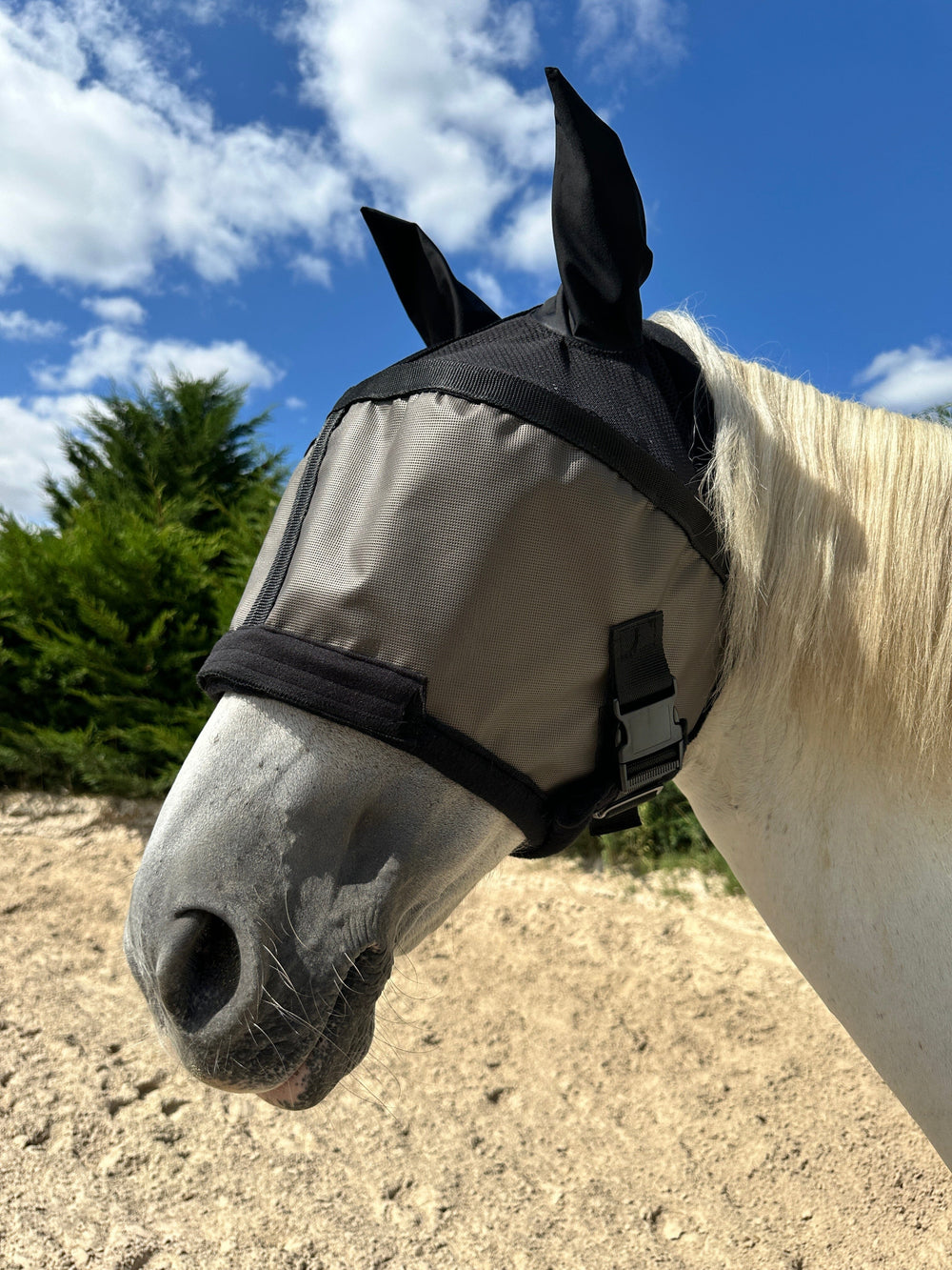 Masque Anti-Mouches Pour Cheval Avec Oreilles - Protection UV, Nylon Respirant, Ajustable - Pour Poney Et Cheval