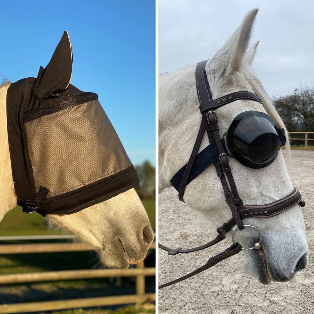 Pack masque de pré Premium avec cache-oreilles et lunettes de travail equigoogs