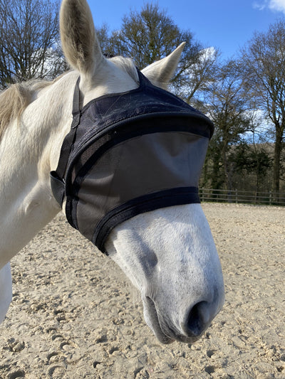 Bonnet cheval Arso Equivizor anti-UV avec arceau contre l'uvéite équine - Equidiva