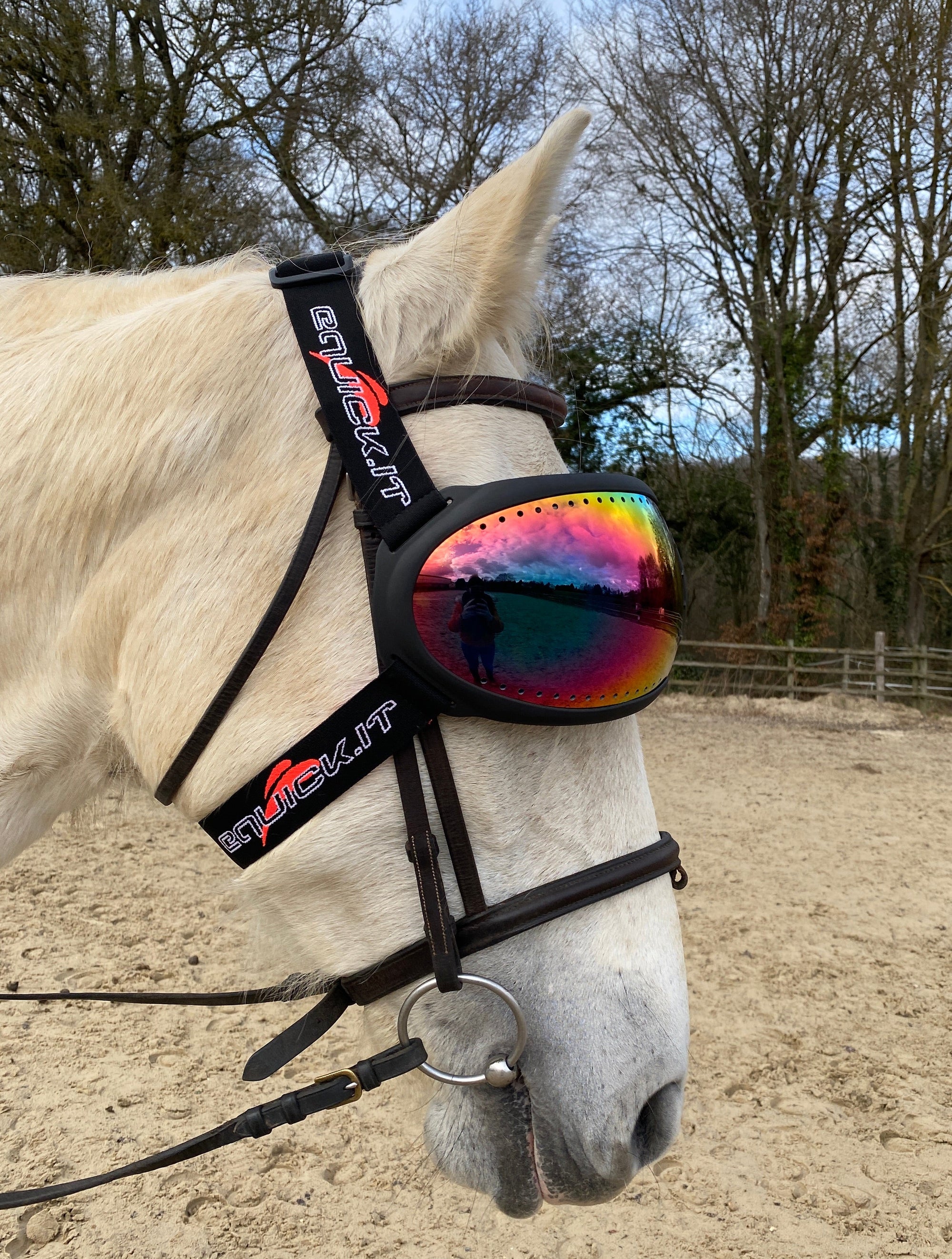 Lunettes cheval eVysor eQuick 100% anti-UV - rainbow mirror - Equidiva Lunettes cheval eVysor eQuick 100% anti-UV - rainbow mirror - Equidiva