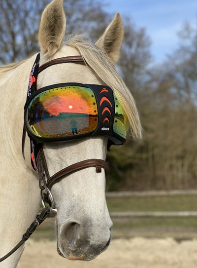 Masque cheval eVysor eQuick anti-UV 100% contre l'uvéite - orange mirror