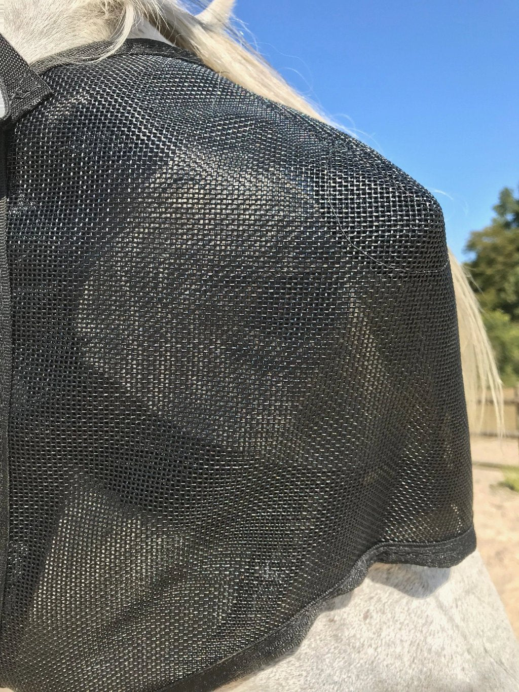 Masque de convalescence ophtalmologique Equivizor pour cheval -  PVC foncé anti-UV - Equidiva