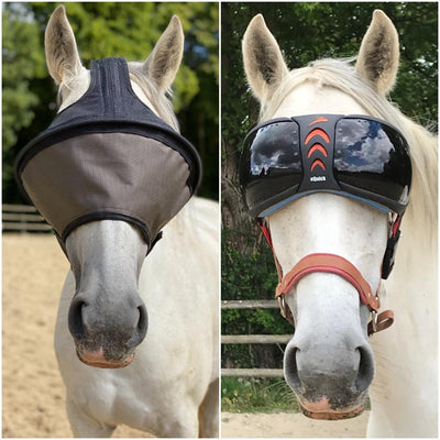 Pack Arso sans cache-oreilles + masque eVysor au choix