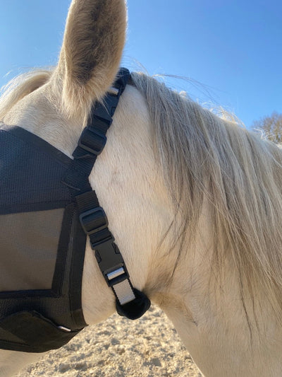 Pack eVysor + masque Léger Equivizor sans cache-oreilles