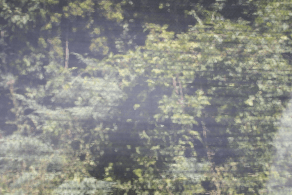 Pack eVysor + masque Premium equidiva avec cache-oreilles