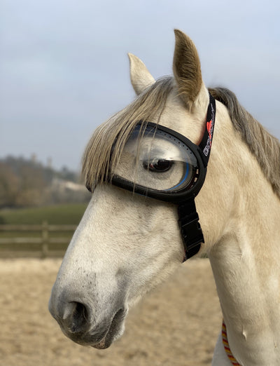 Pack - masque eVysor eQuick et masque léger Equivizor sans cache-oreilles cheval