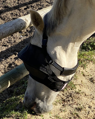 Pack Premium equidiva + Arso sans cache-oreilles
