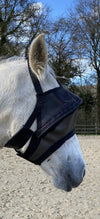 Pack Premium equidiva + Arso sans cache-oreilles