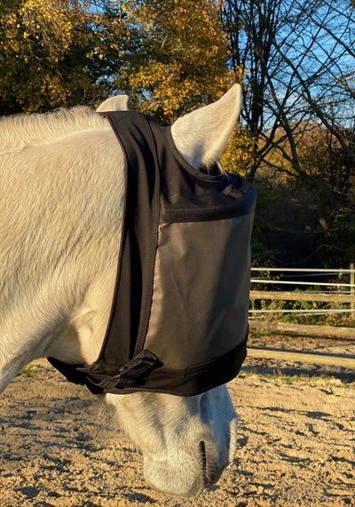 Pack Premium equidiva + Arso sans cache-oreilles