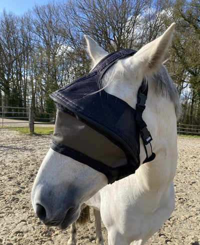 Pack Premium equidiva + Arso sans cache-oreilles